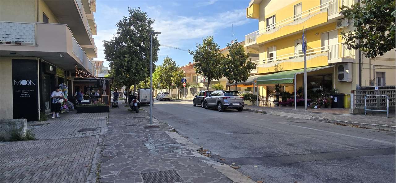 immagine annuncio 2 di 11