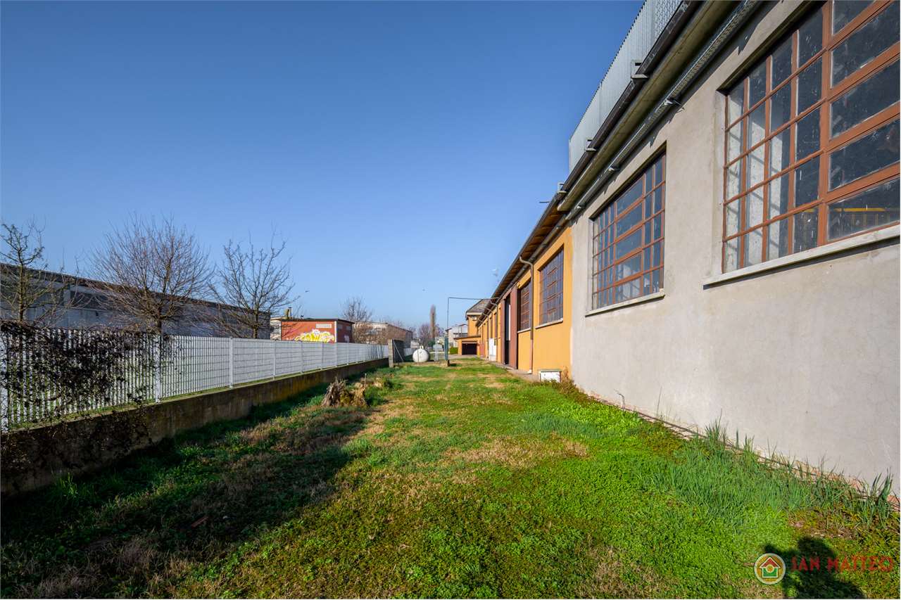 immagine annuncio 11 di 14