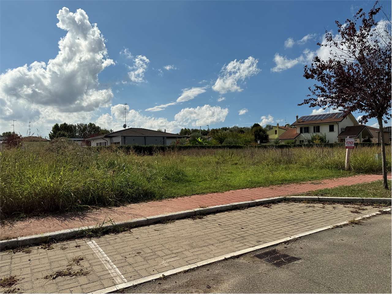 immagine annuncio 6 di 11