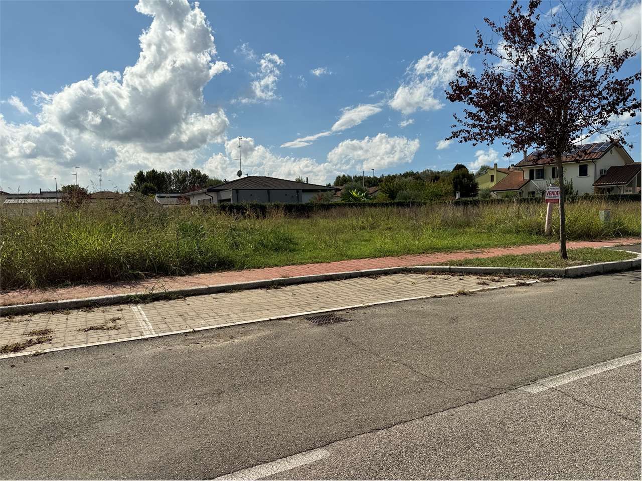 immagine annuncio 7 di 11