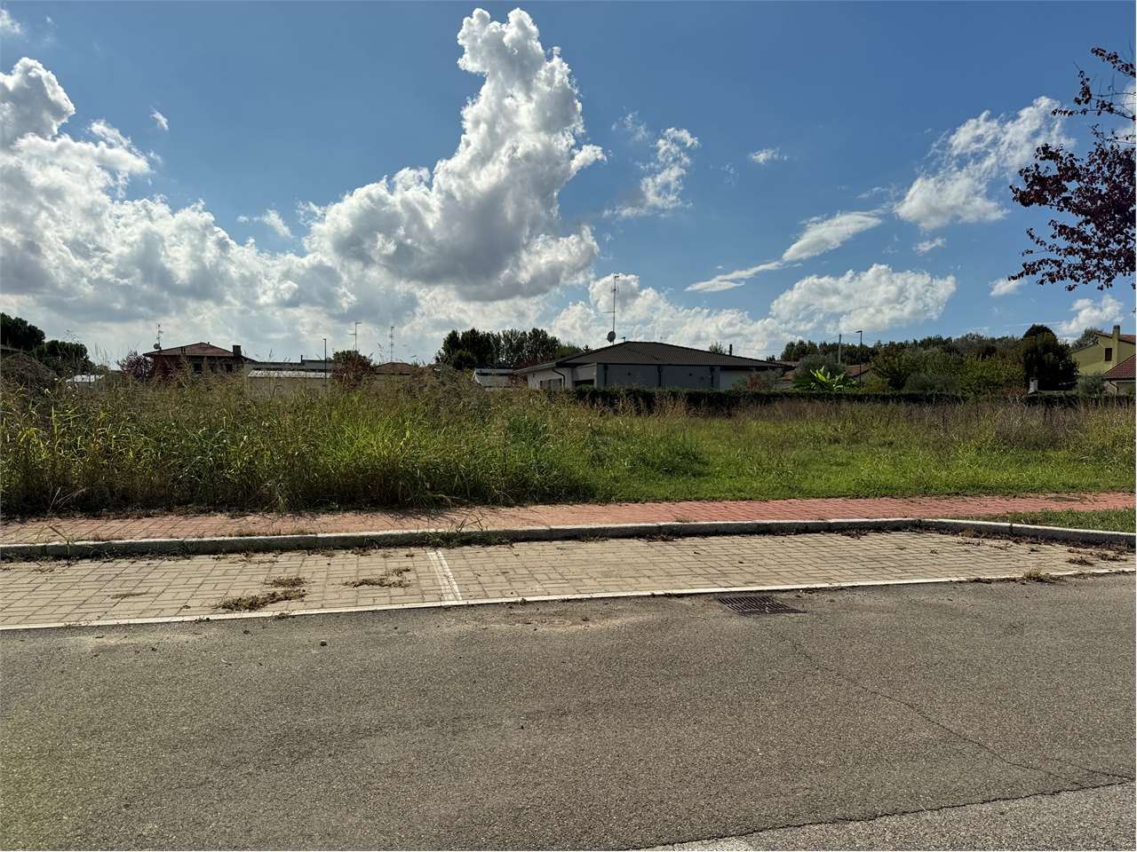 immagine annuncio 8 di 11