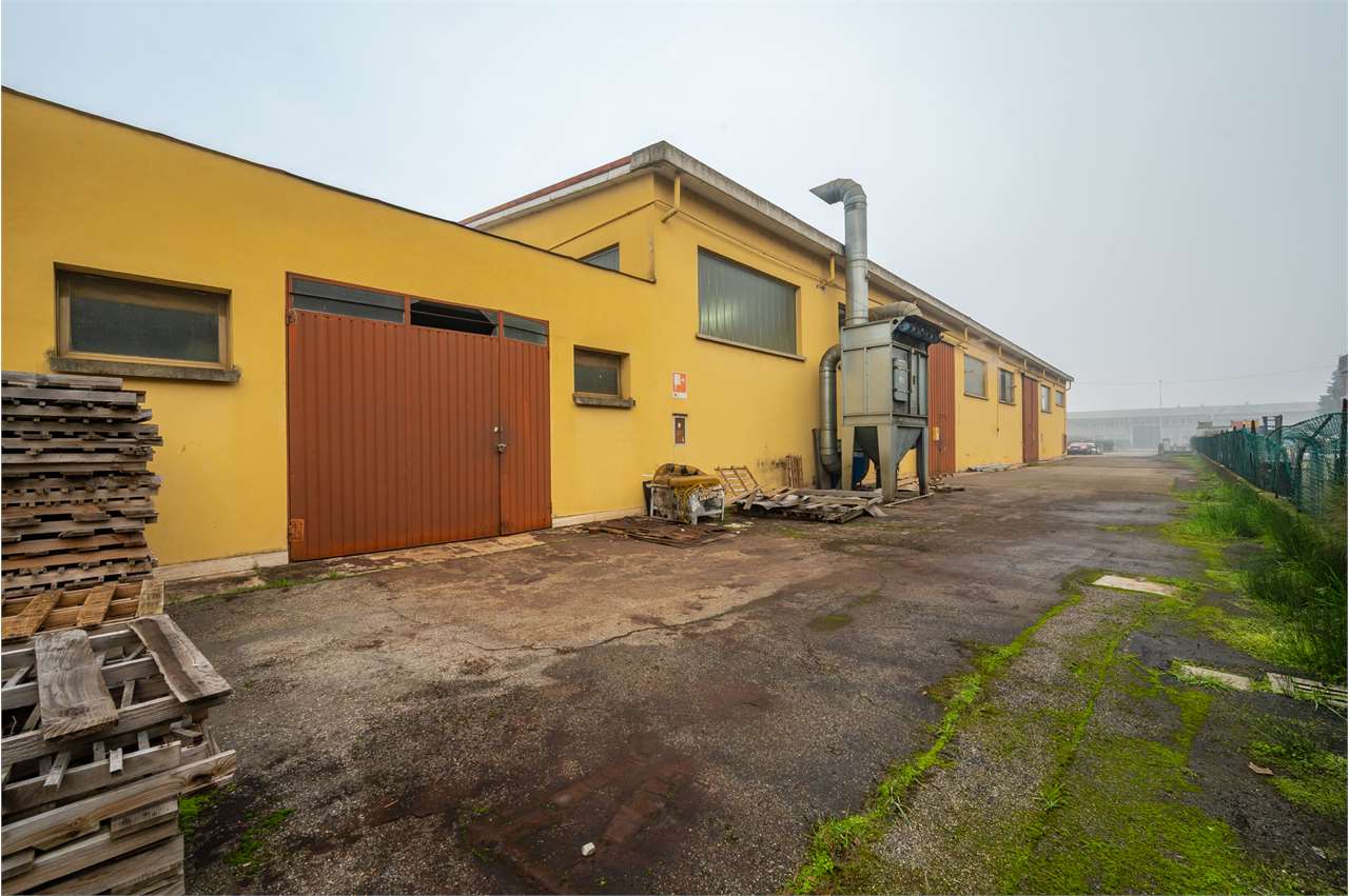 immagine annuncio 6 di 15