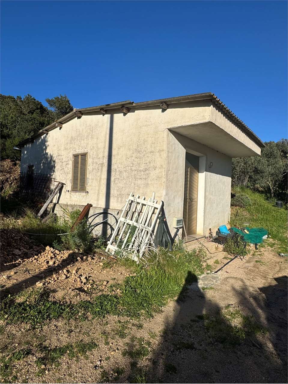 immagine annuncio 3 di 9