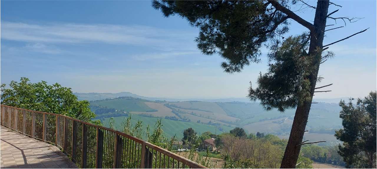immagine annuncio 5 di 9