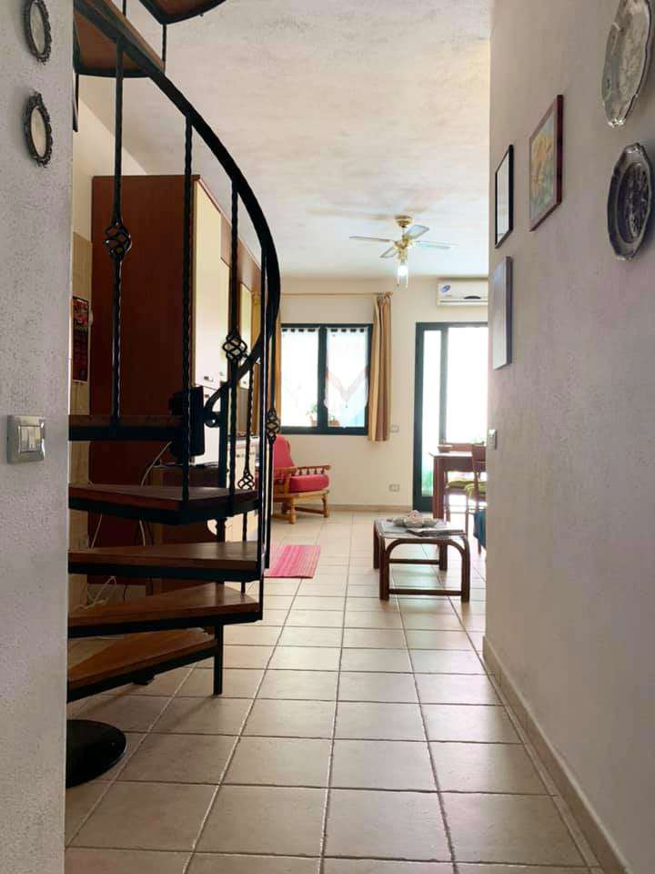 immagine annuncio 5 di 12