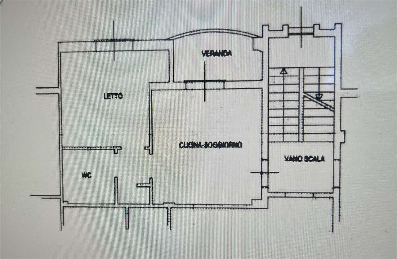 immagine annuncio 12 di 14