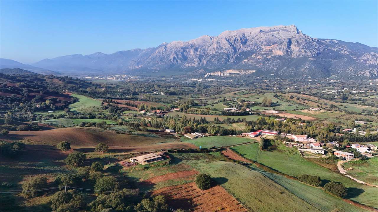 Fotografia Terreno Agricolo piccola 2