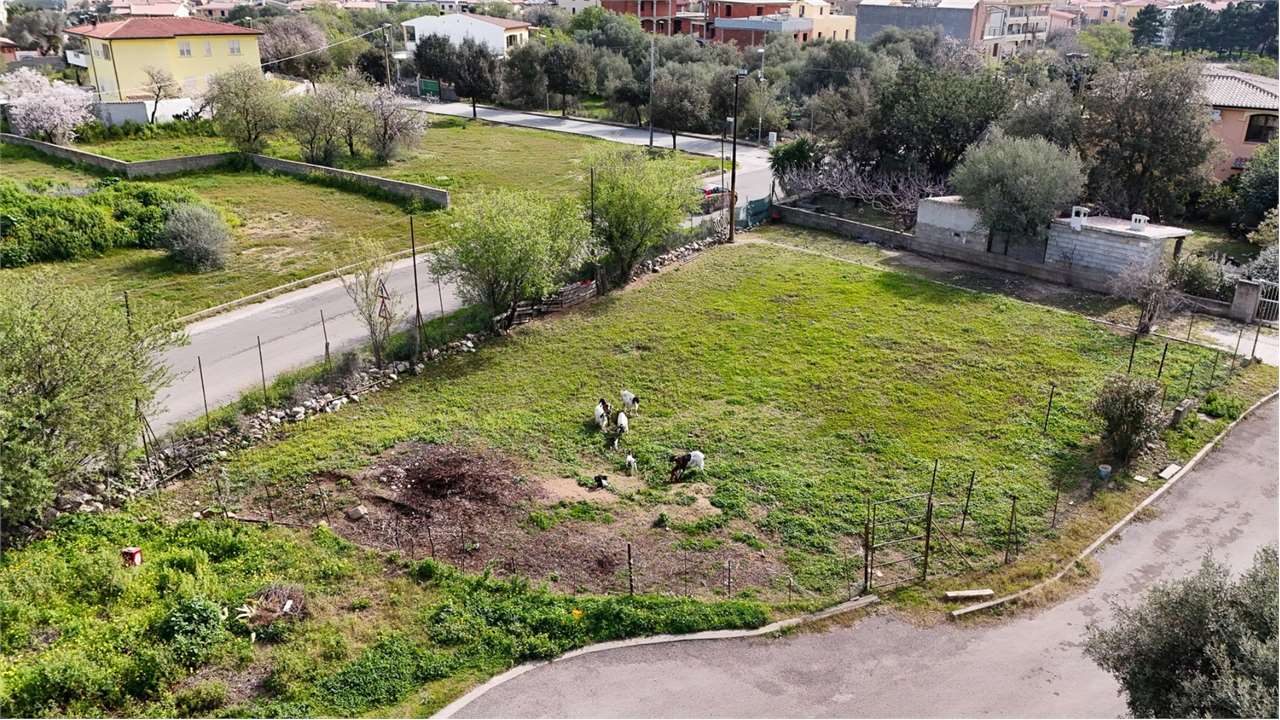 immagine annuncio 1 di 6
