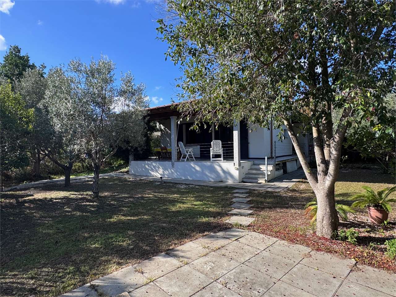 immagine annuncio 12 di 15