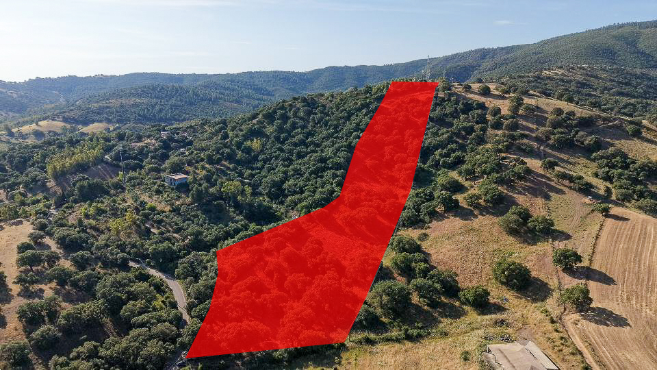 VENDITE Terreni a Siniscola – foto 1