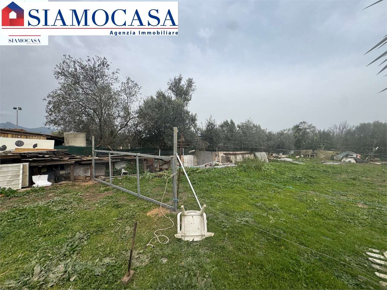 immagine annuncio 8 di 15