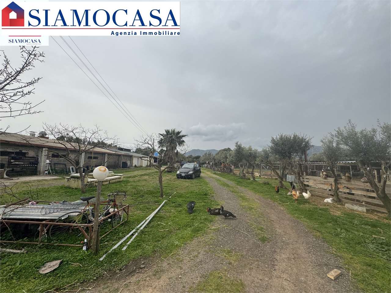 immagine annuncio 1 di 15