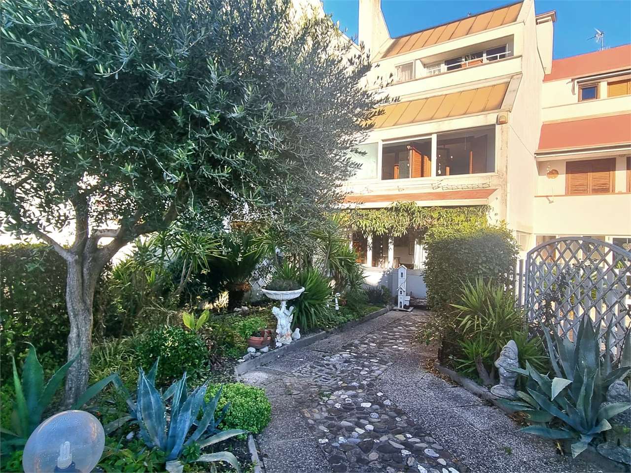 immagine annuncio 1 di 15