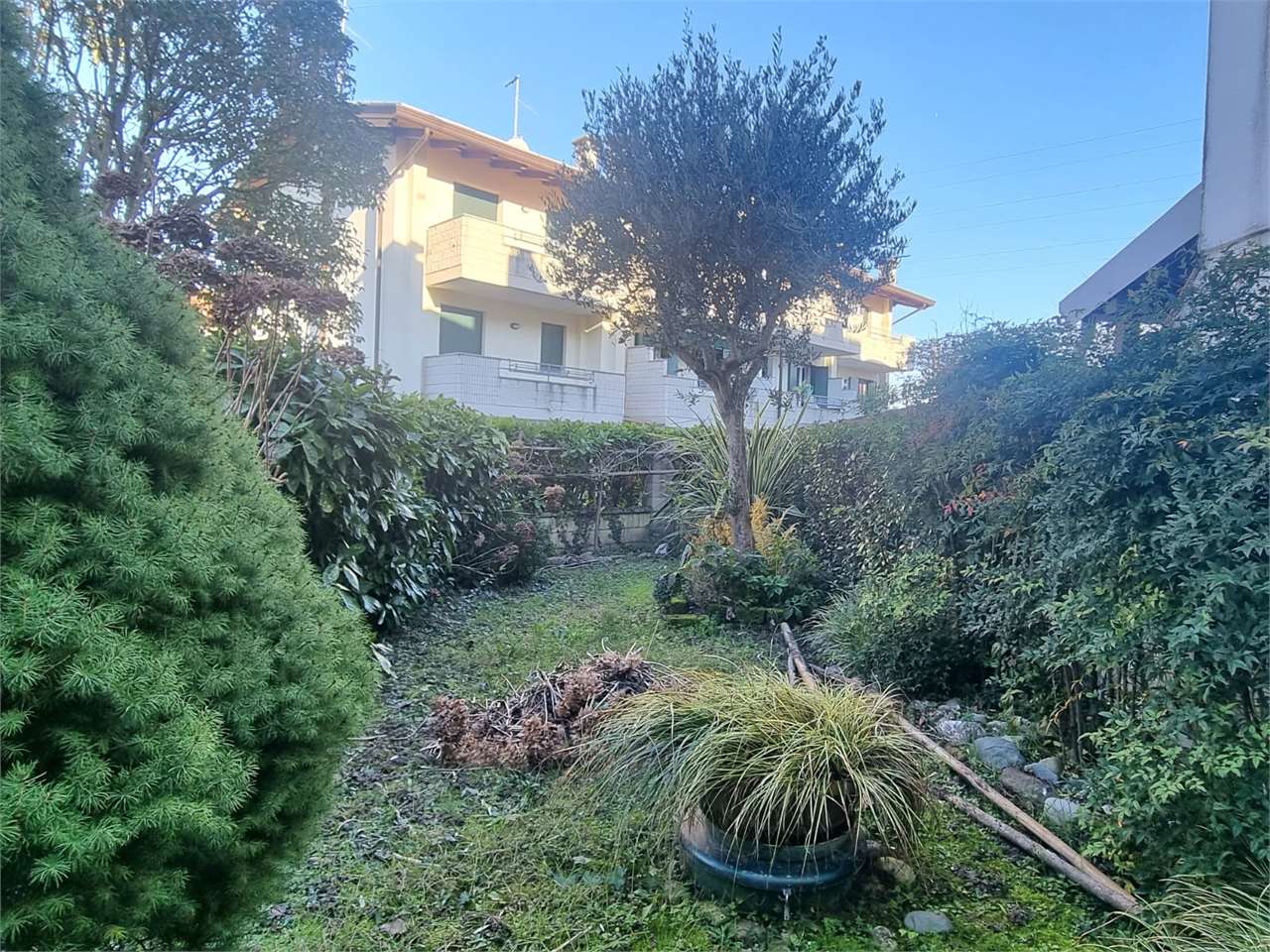 immagine annuncio 5 di 15