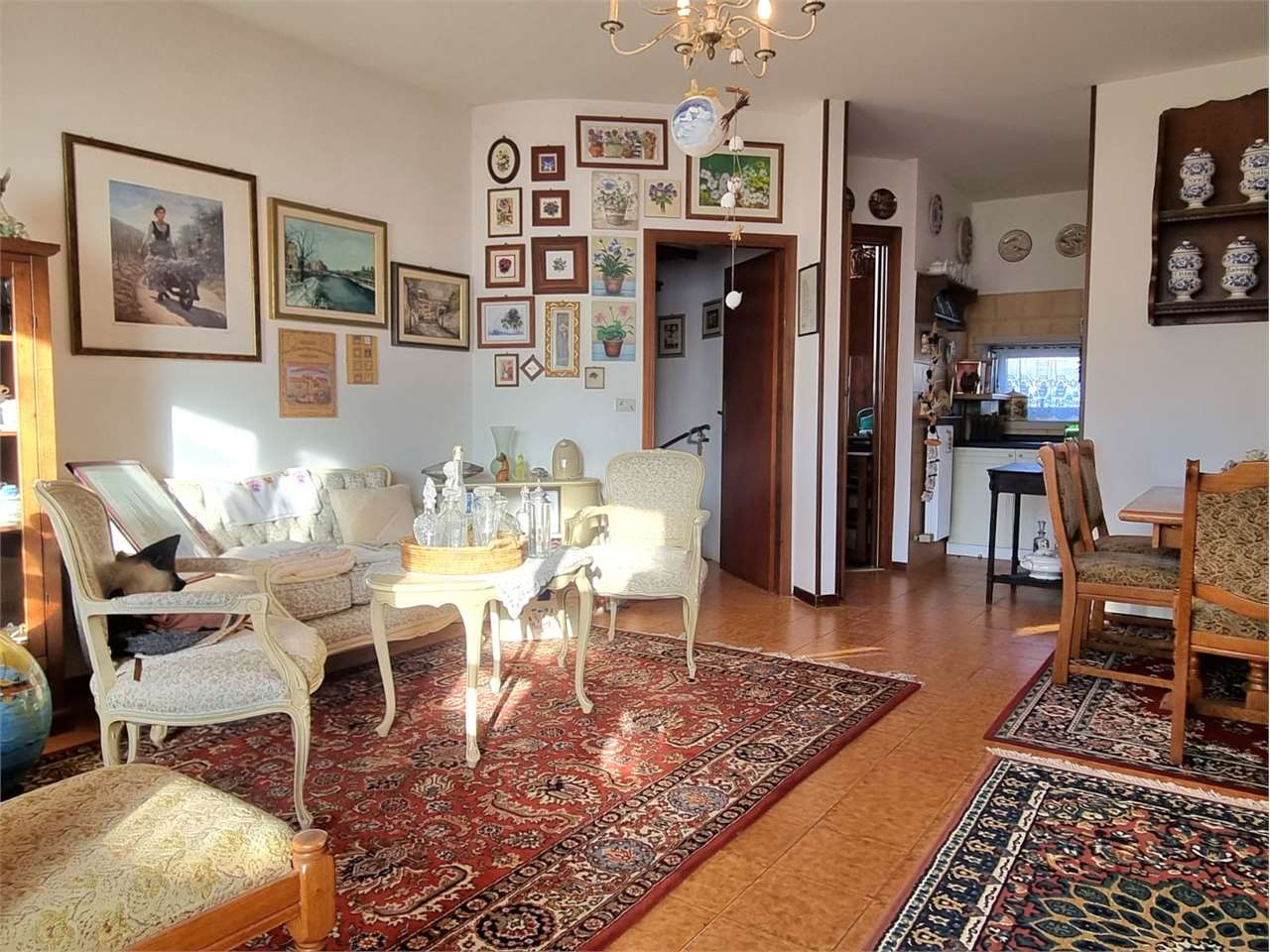 immagine annuncio 7 di 15