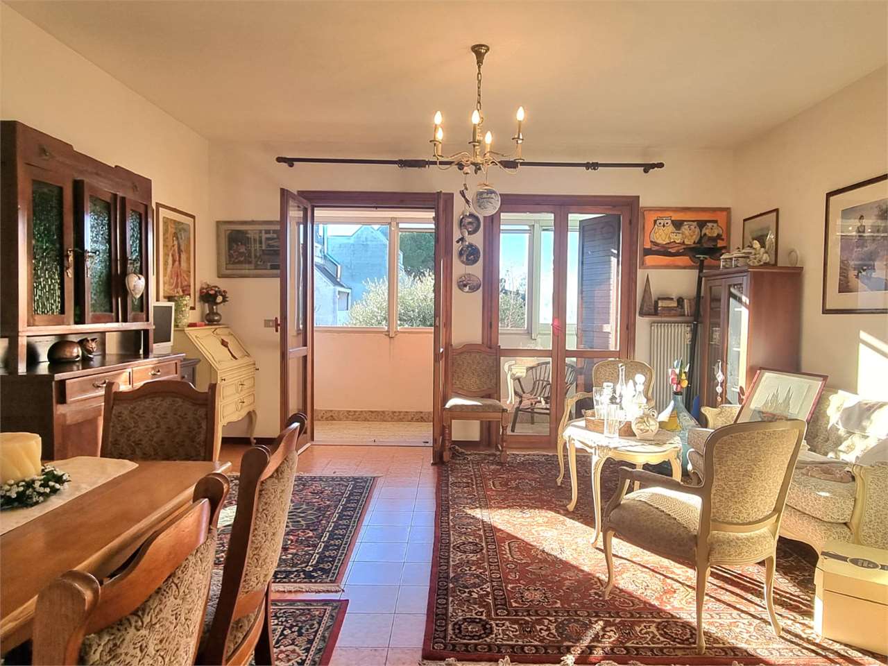 immagine annuncio 9 di 15