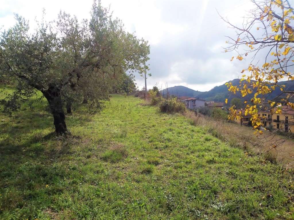 Fotografia Terreno Agricolo piccola 1