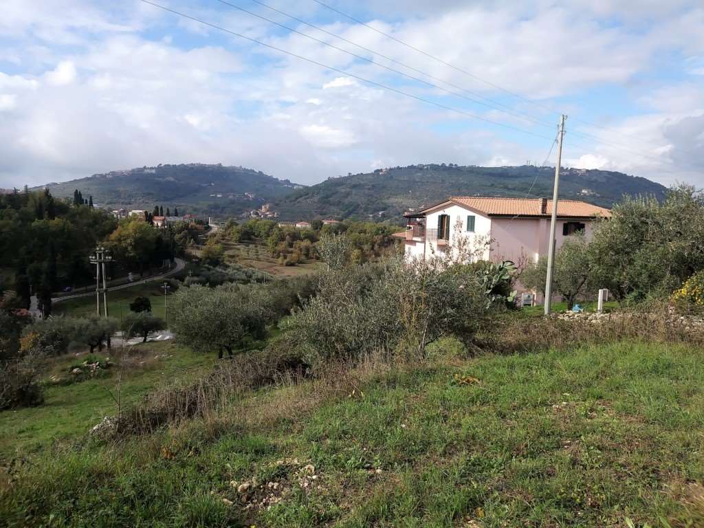 Fotografia Terreno Agricolo piccola 2