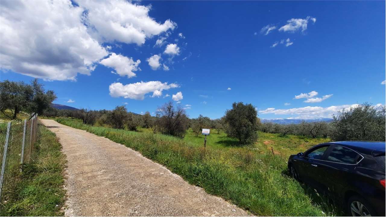 Fotografia Terreno Residenziale piccola 1