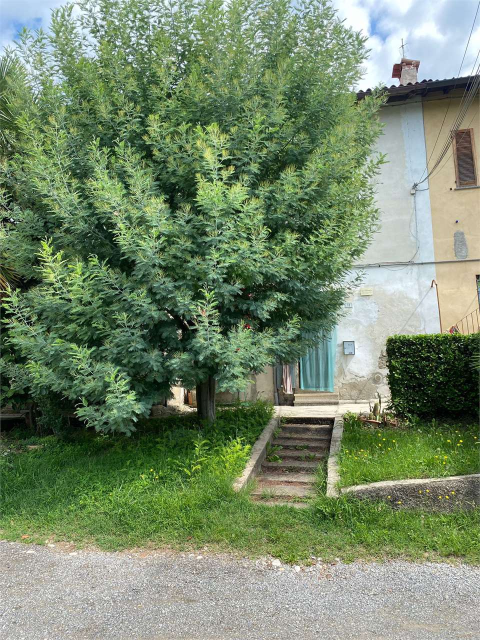 immagine annuncio 3 di 9