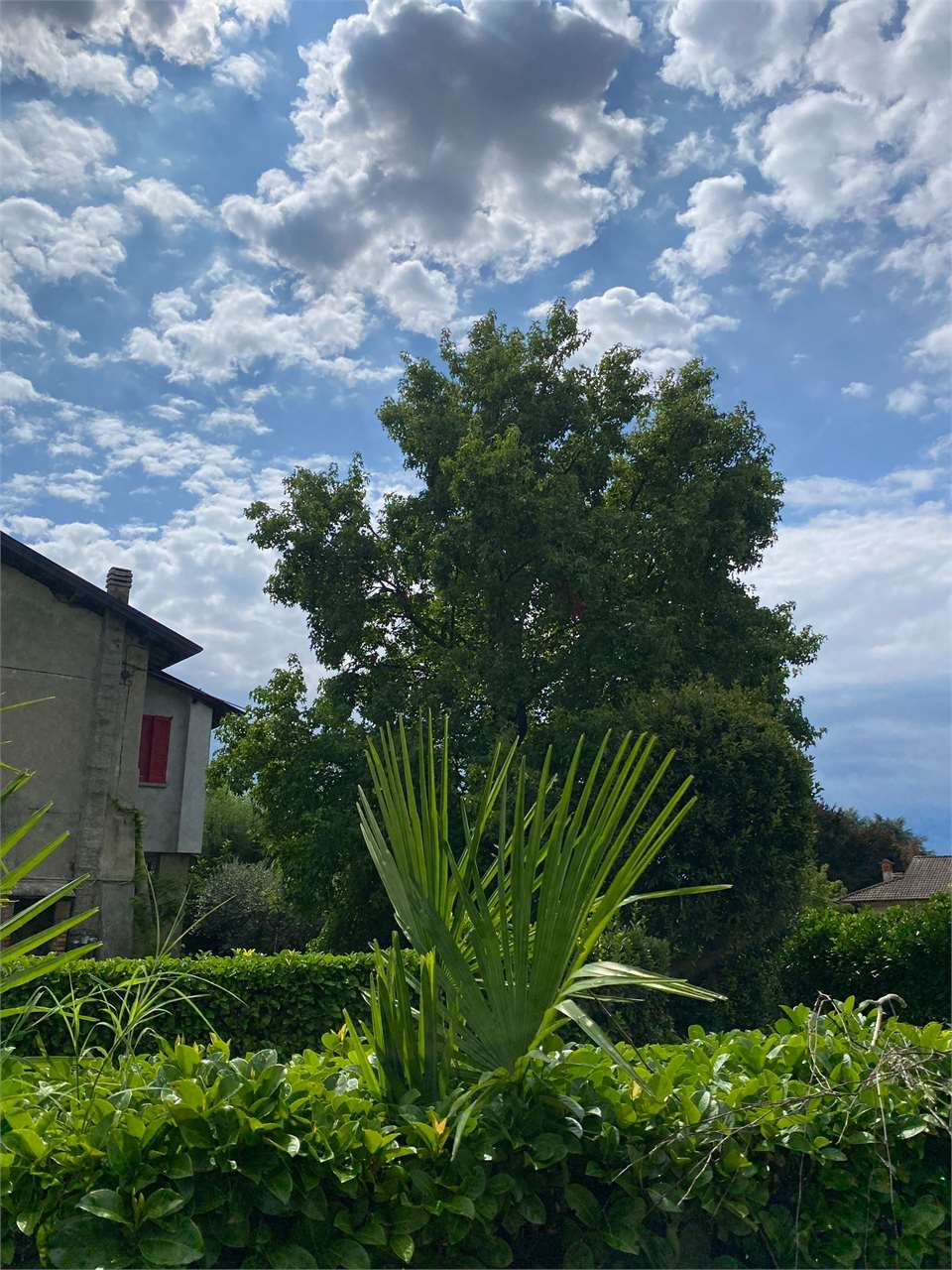 immagine annuncio 5 di 9