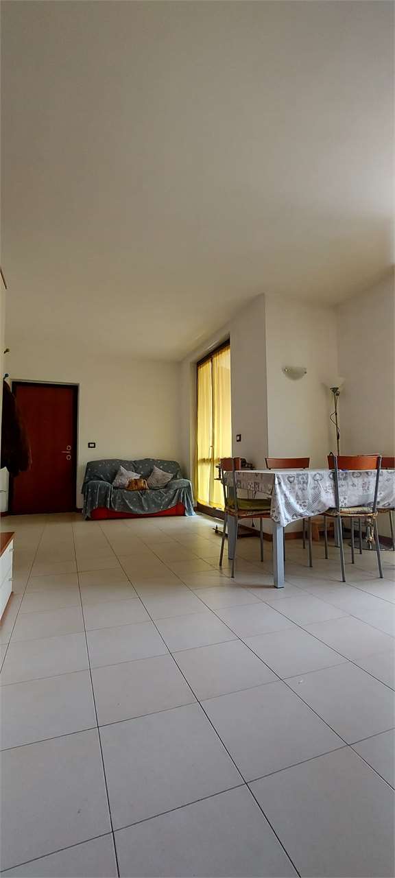 immagine annuncio 6 di 8