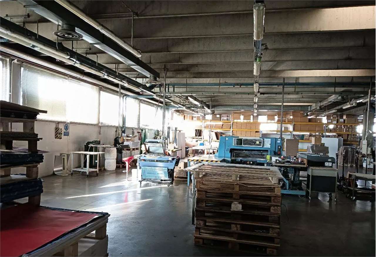 immagine annuncio 5 di 12