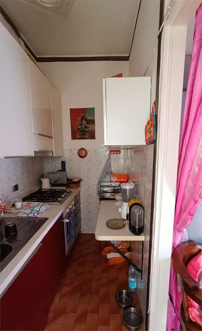 immagine annuncio 9 di 12