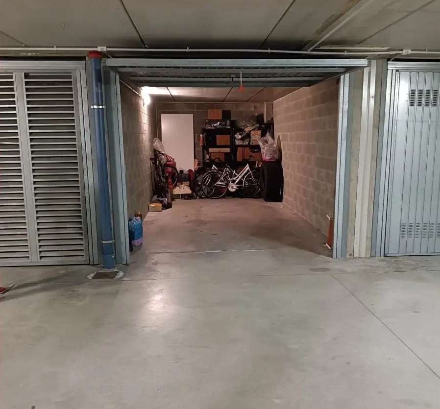 immagine annuncio 11 di 15