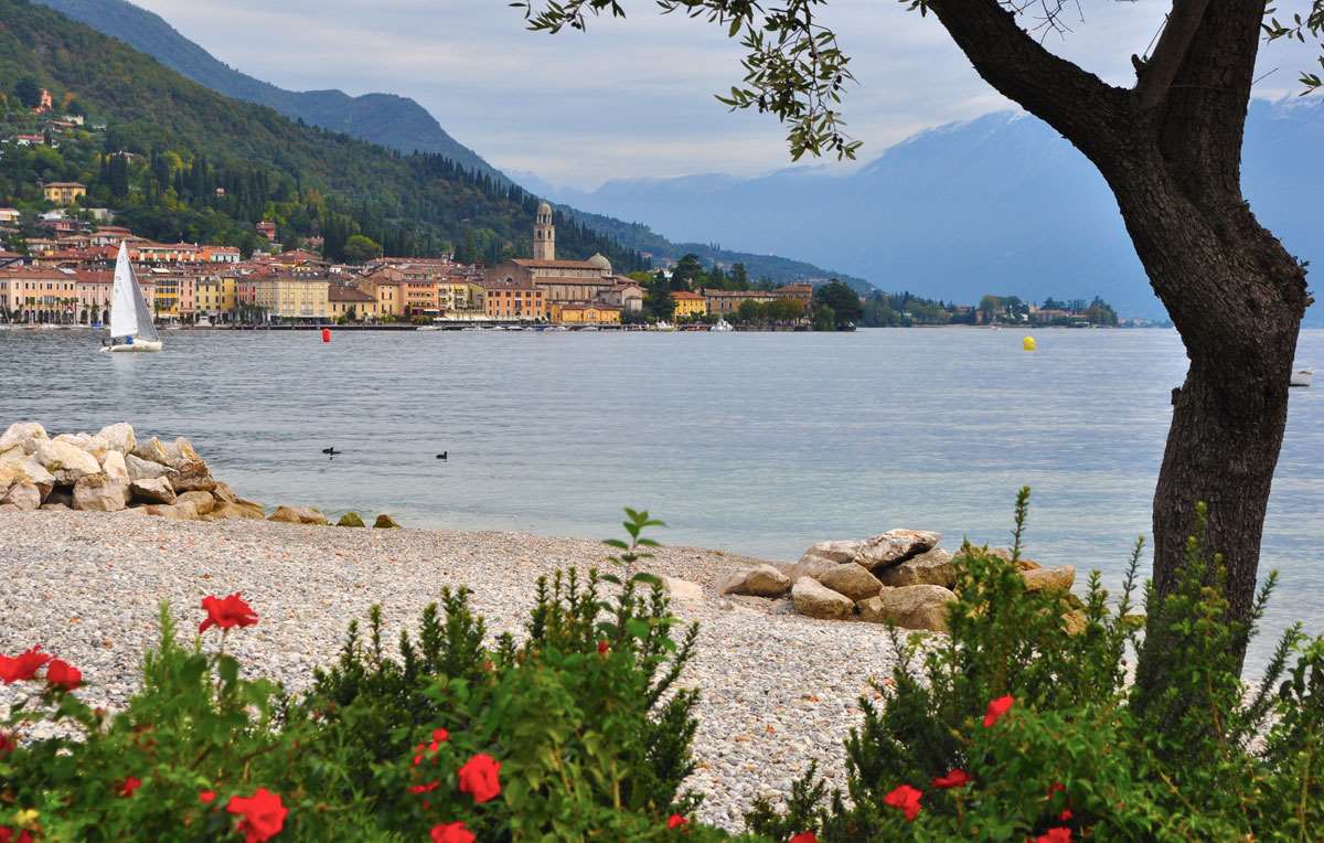 immagine annuncio 7 di 15