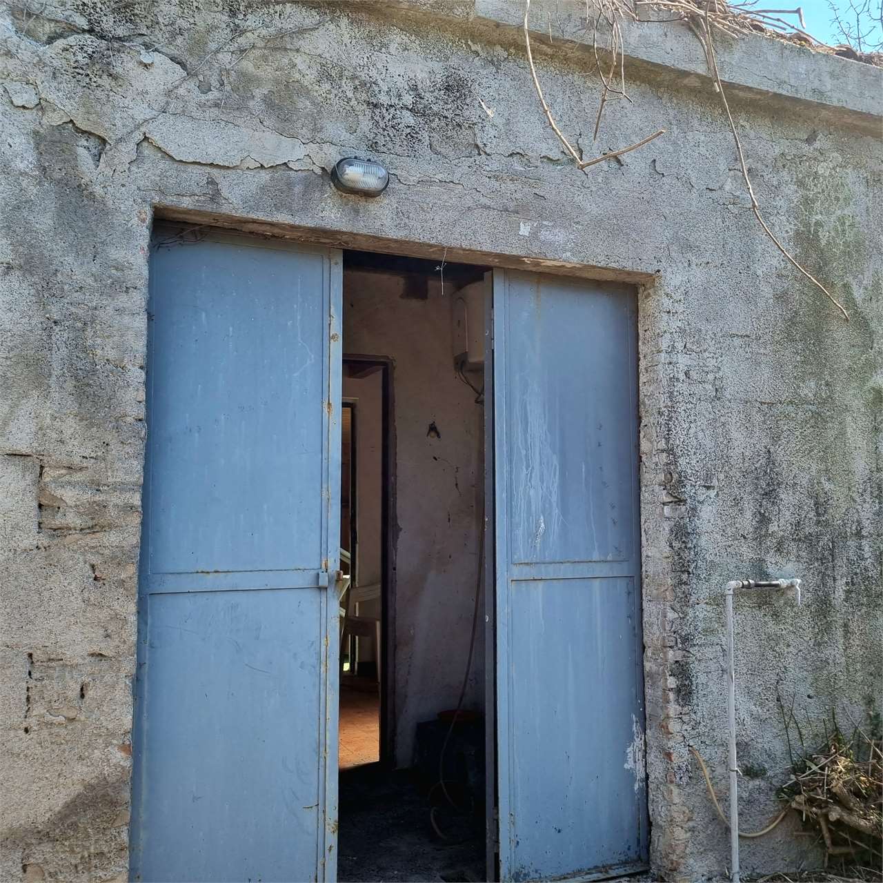 immagine annuncio 6 di 12