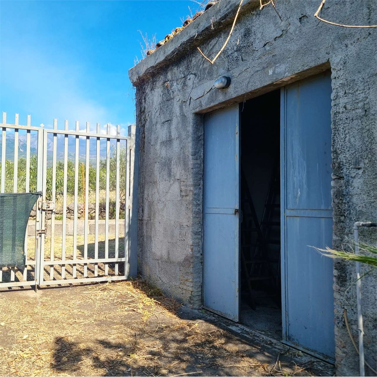 immagine annuncio 5 di 12