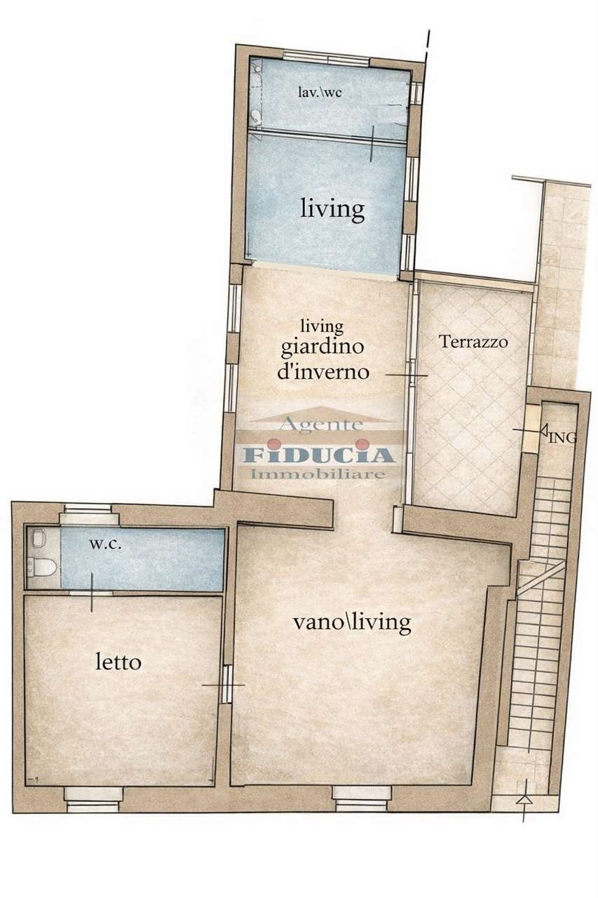 immagine annuncio 9 di 15