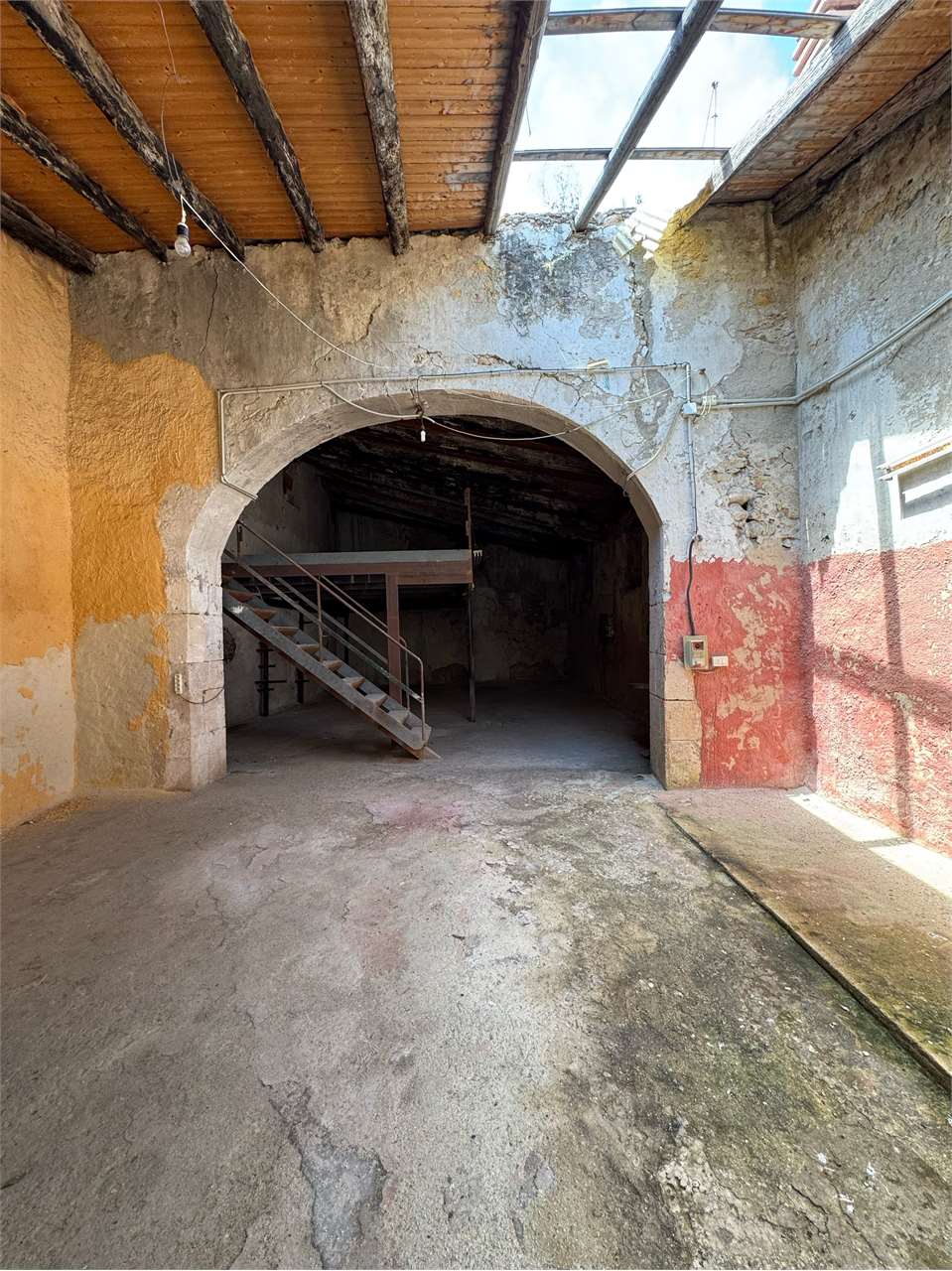 immagine annuncio 5 di 12