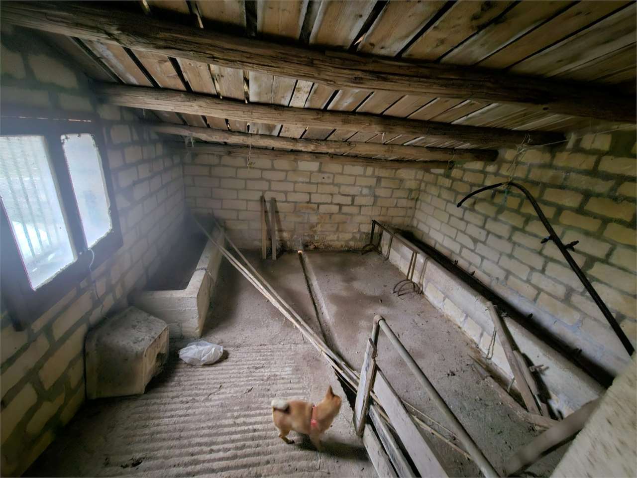 immagine annuncio 11 di 15