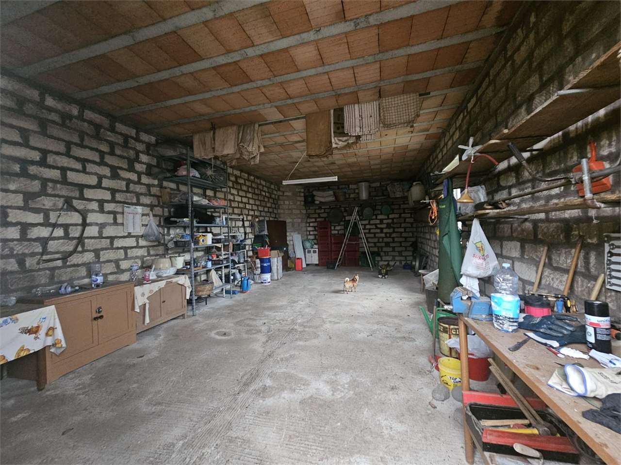 immagine annuncio 10 di 15