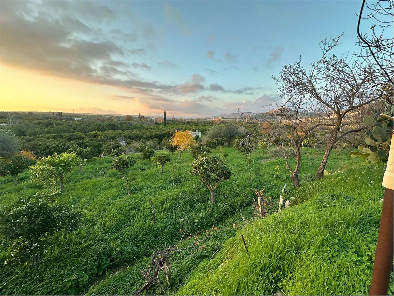 immagine annuncio 1 di 14