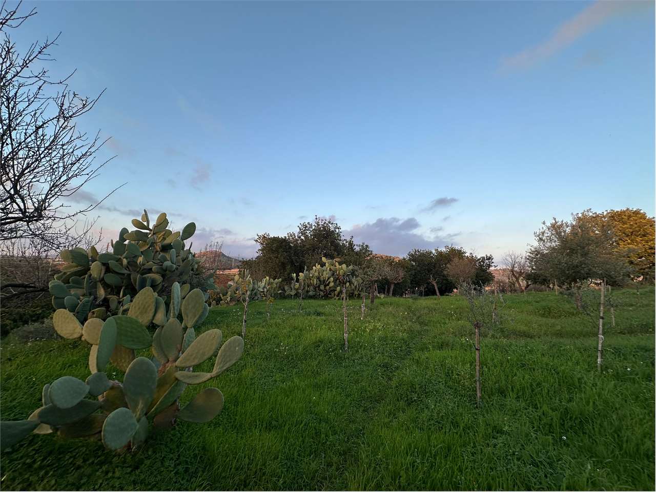 immagine annuncio 3 di 14