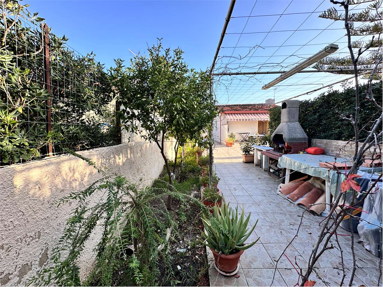 immagine annuncio 9 di 15