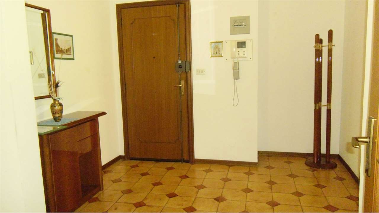 immagine annuncio 7 di 14