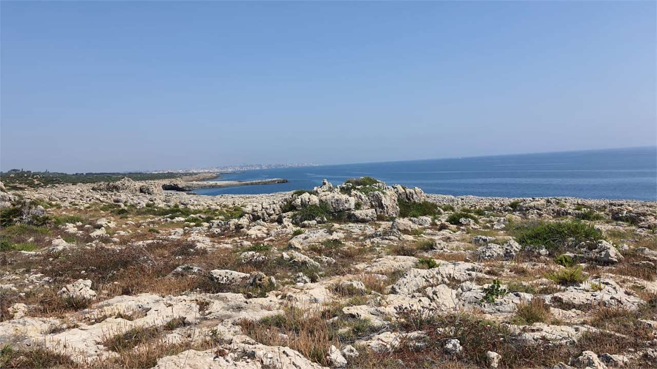 immagine annuncio 3 di 6