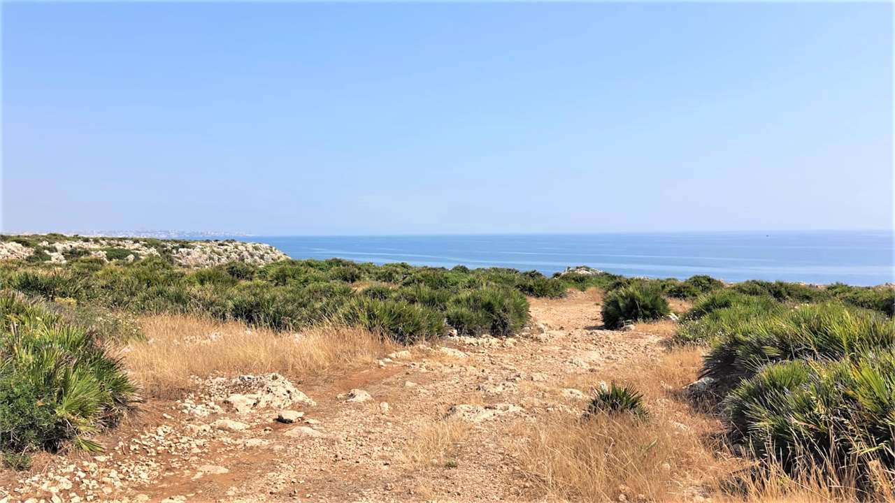 immagine annuncio 4 di 6