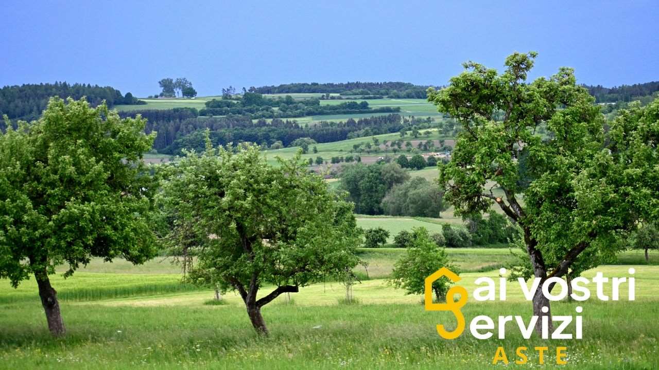 immagine annuncio 1 di 6