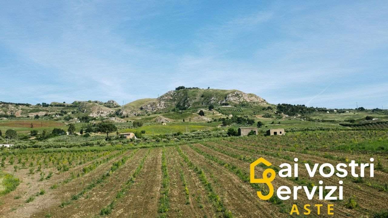 immagine annuncio 5 di 6