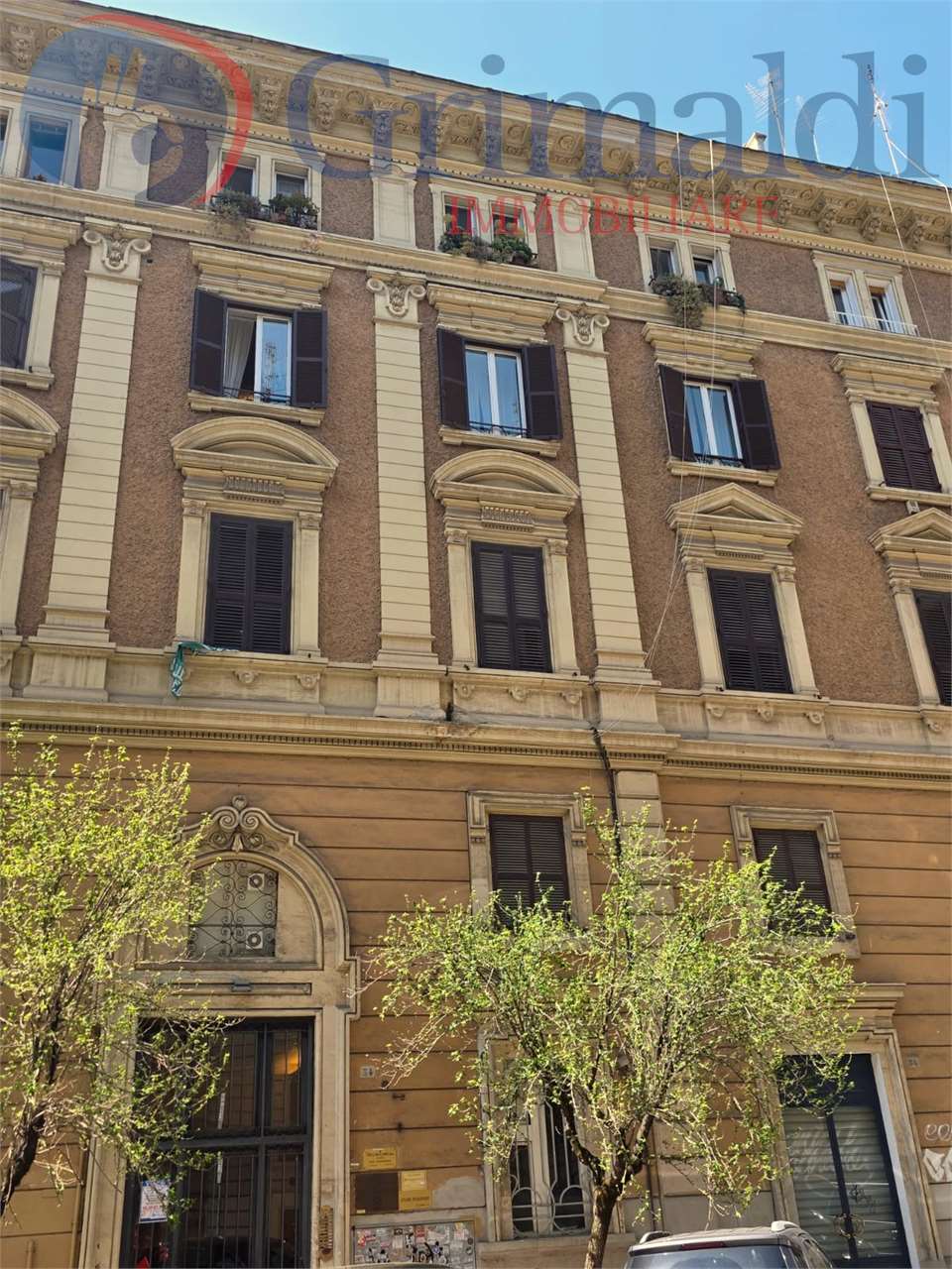 immagine annuncio 12 di 14