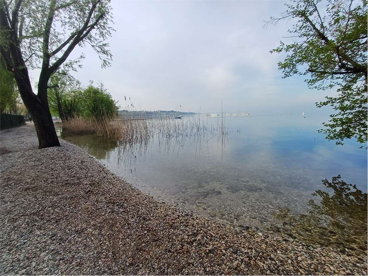 immagine annuncio 3 di 6
