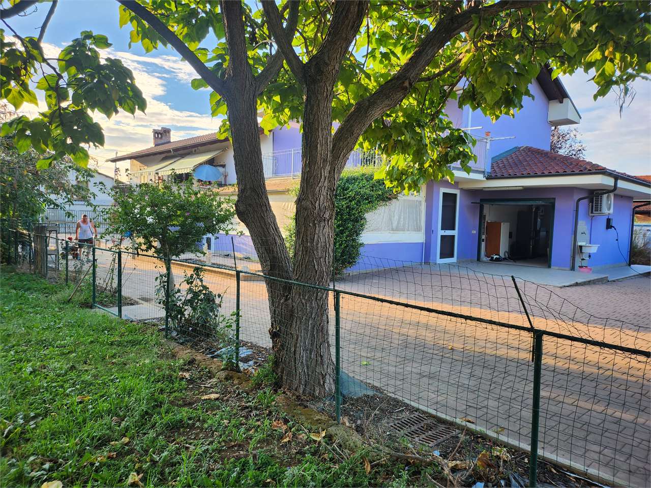 foto