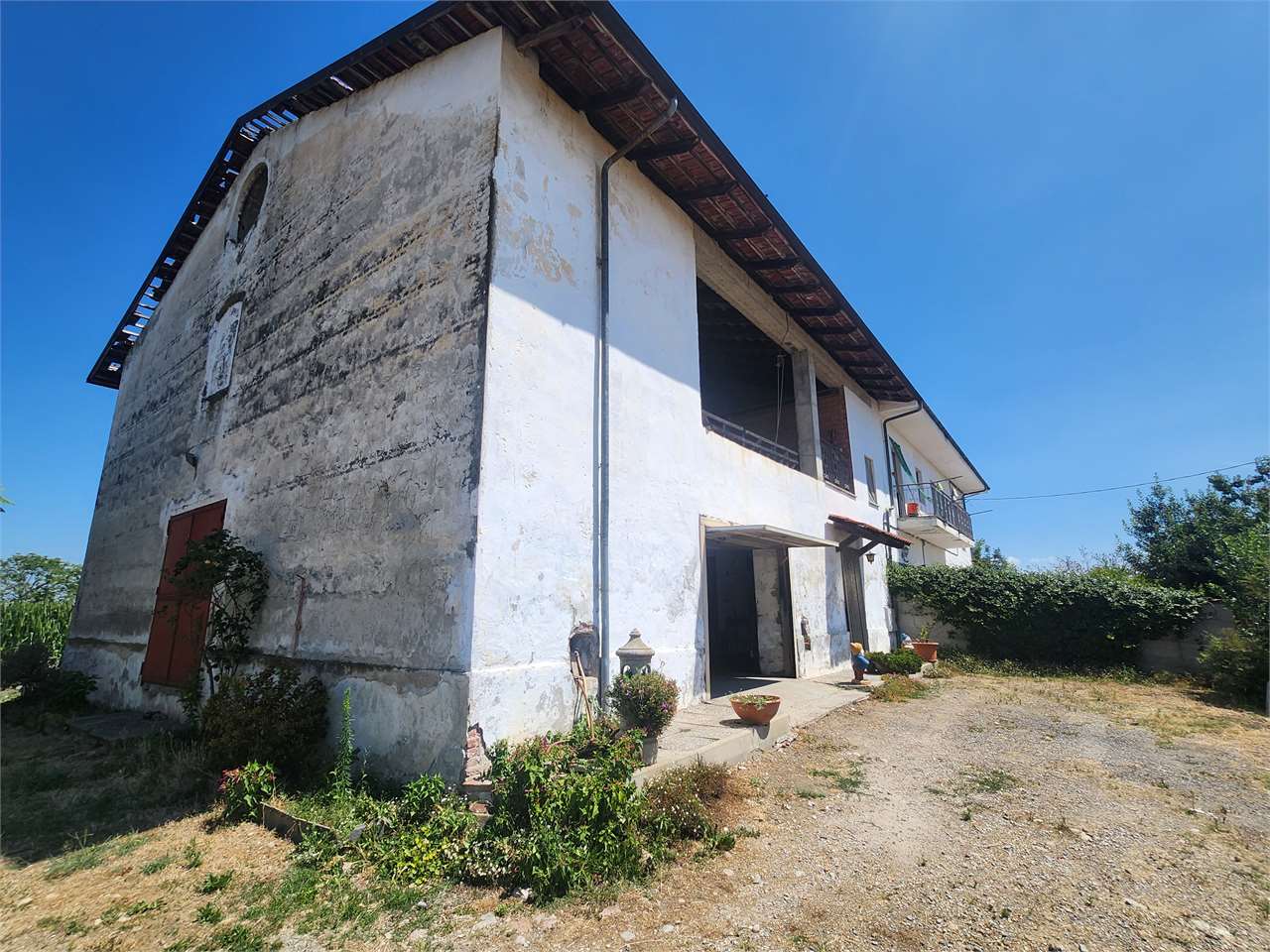 foto