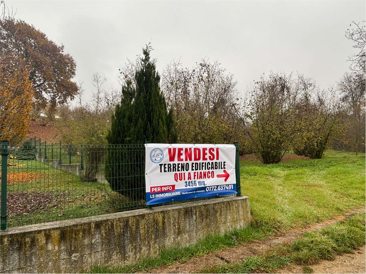 immagine annuncio 4 di 12