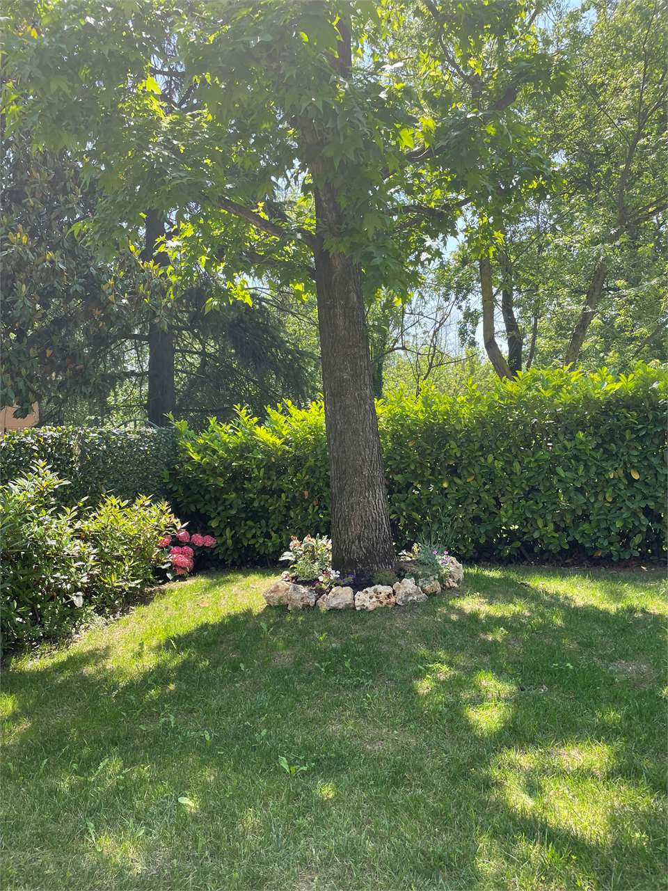 Appartamento in vendita a Castelletto Monferrato (AL)